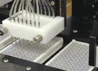 Microplate Processing Automation